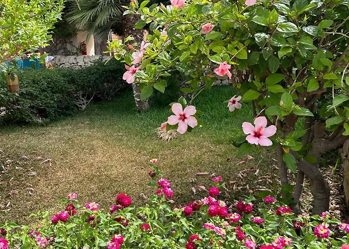 Casa Galo' - Pool & Tennis-gelso Апартаменты *